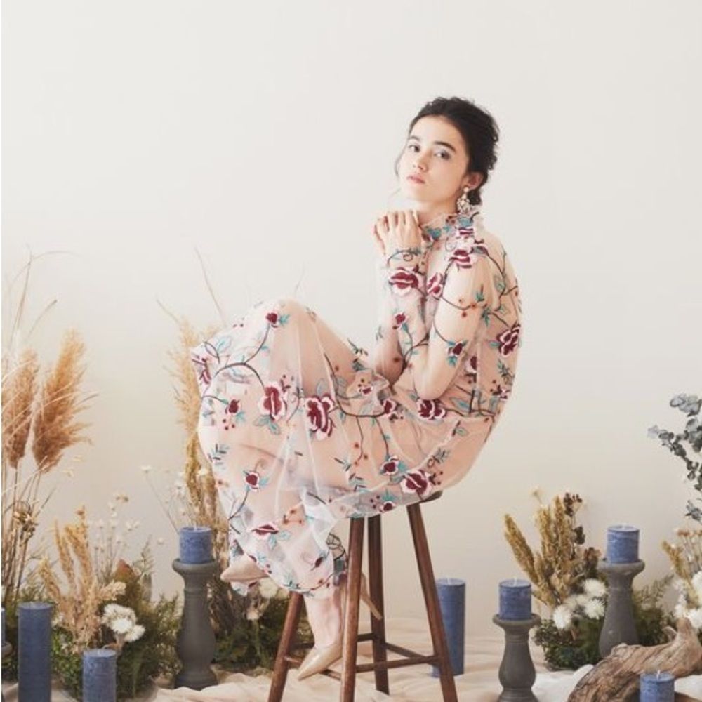 Beautiful Endless Rose Mesh Floral Long Sleeve Dress (S)